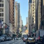 Sebastian Diaz Profile Picture